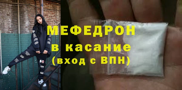индика Новозыбков