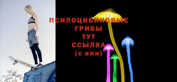 ешки Балахна