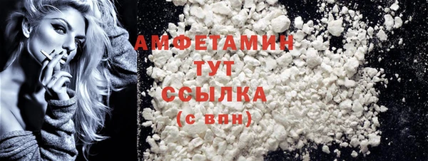 шишки Беломорск