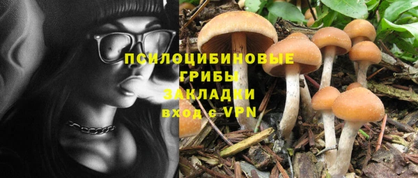 не бодяженный Няндома