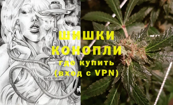стафф Новокубанск