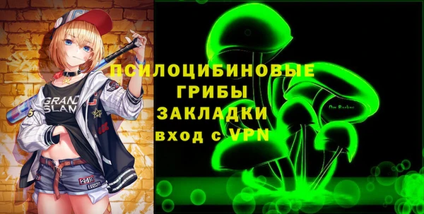 индика Новозыбков