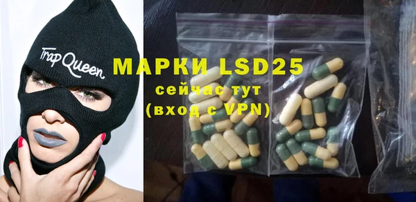 индика Новозыбков